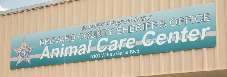 Sheriff Wayne Ivey’s Influence on Animal Shelter Revealed