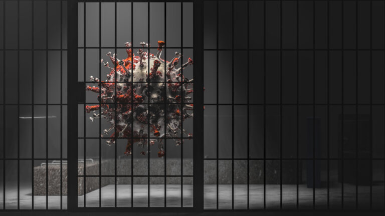 Lawyers urge the Court for Covid safeguards as members of their community put on life support