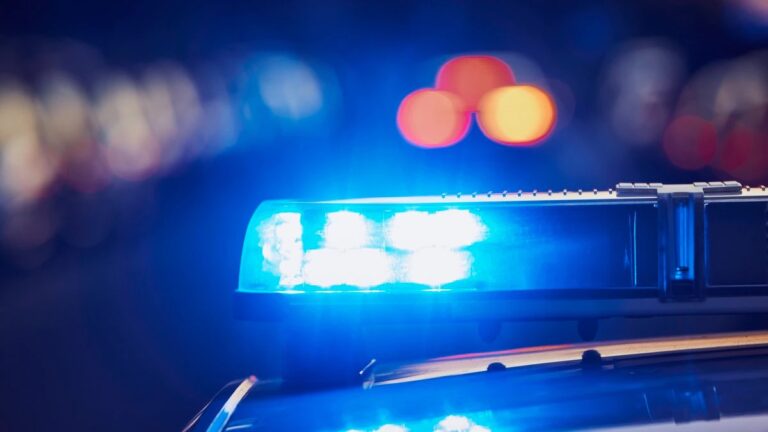 Boy killed walking on I-95 in Viera