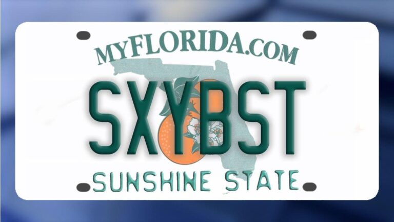 Hundreds of Obscene/Offensive personalized license plates REJECTED. Full list attached