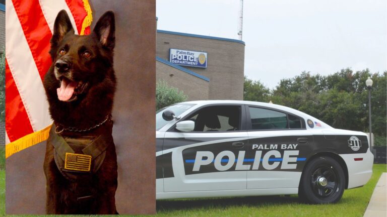 Retired Palm Bay PD K9 Kryptonite passes away