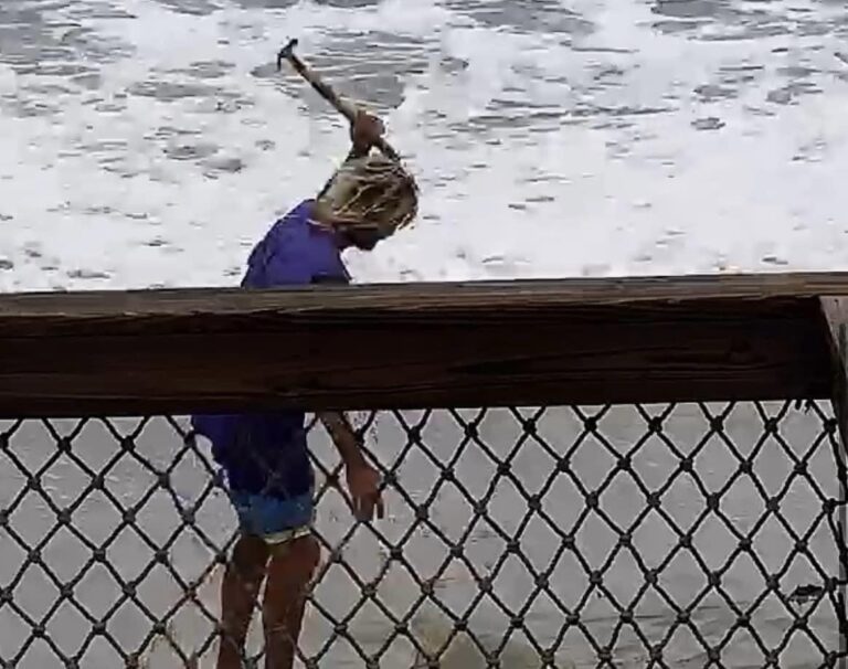 Man caught on camera beating lemon shark to death, finally sentenced