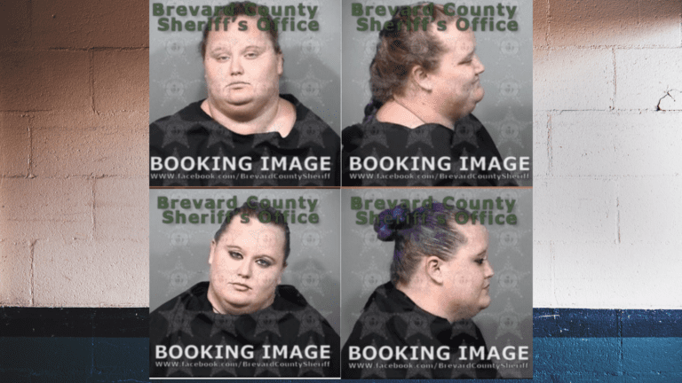 Palm Bay Mother arrested for lying about missing 7-year-old autistic child