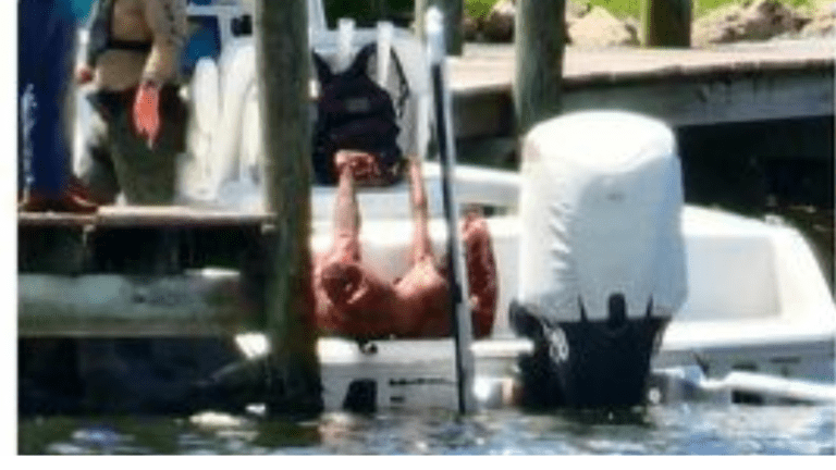 ‘Decapitated’ woman pulled from river was a “sex-type doll” in Merritt Island