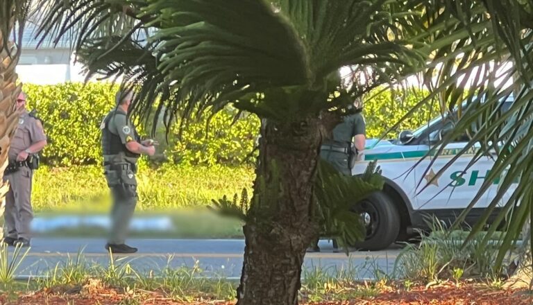 BCSO Releases Statement on Dead Woman Found on Side of Road in West Melbourne