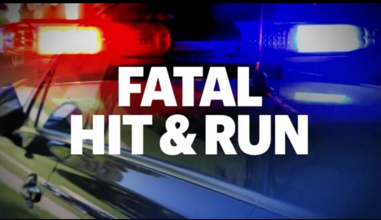 Arrest Made in Fatal Hit-and-Run in Satellite Beach