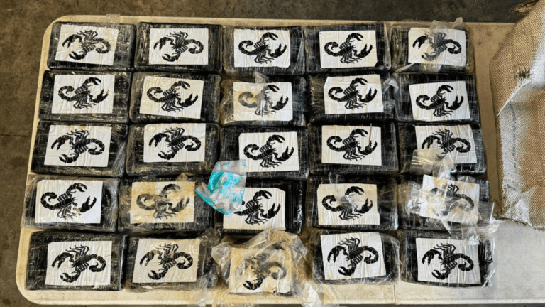 Large Cocaine Shipment Discovered Along Brevard County Coastline