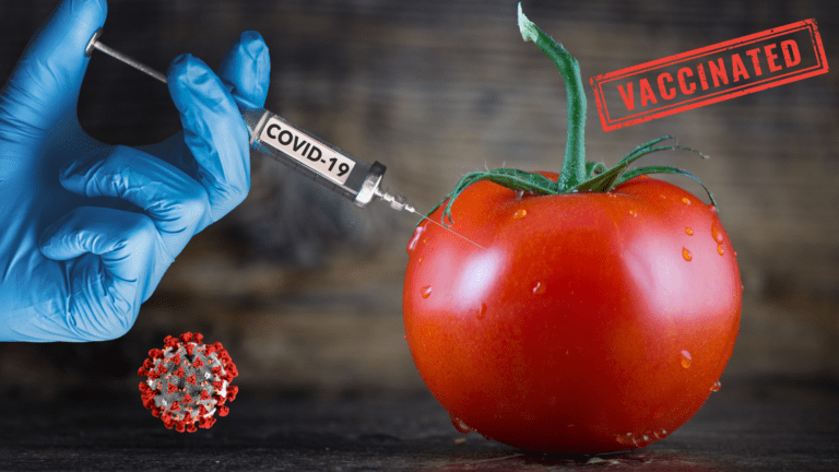 Rep. Miller Files Controversial Bill: Ban Vaccines in Your Tomatoes and Lettuce—Or Is It Just Fearmongering?