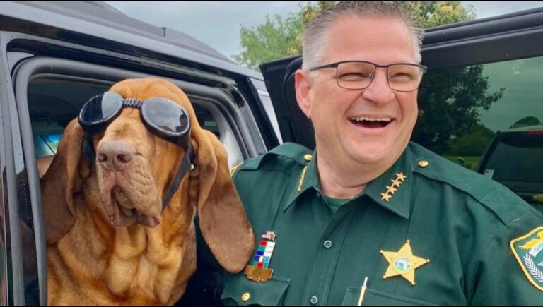 Sheriff’s Office Announces the Passing of K-9 Junny