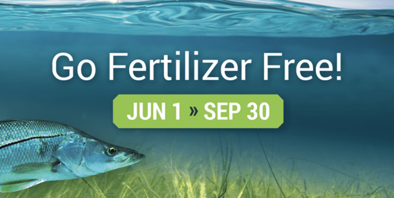 The Rain’s Coming-Hold the Fertilizer!