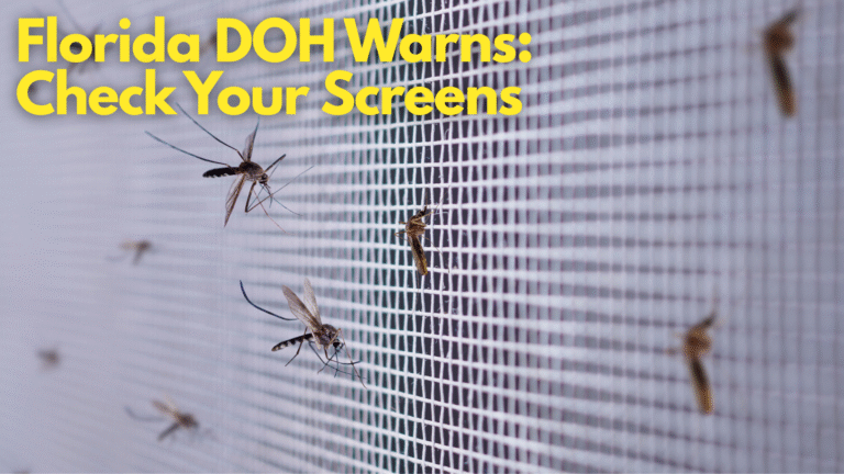 Florida DOH Urges Screen Repairs Amid Surge in Dengue and Mosquito-Borne Illnesses in Brevard