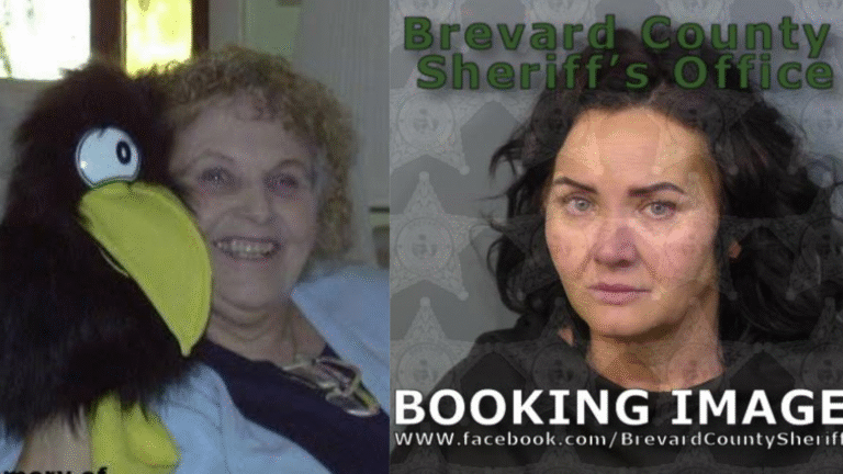 Roofing Company Thief Stole Life Savings of Bedridden 78-Year-Old Woman, Over $120k Family Says