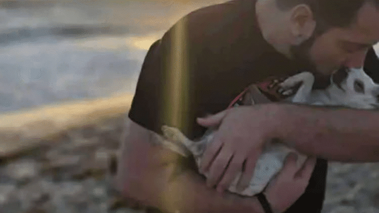 Dog Killed in Violent Attack at Canova Dog Beach; Couple Seeking Help Identifying Owner Who Fled Scene