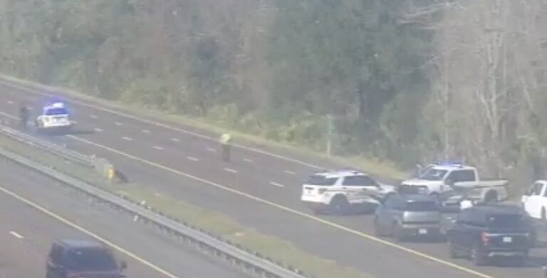 Woman Killed in Motorcycle accident on 95