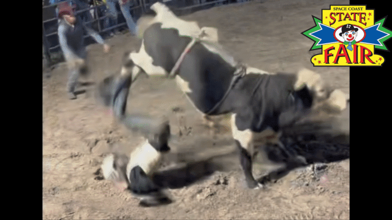 Teen Nearly Dies After Accident At Space Coast Daily Fair. BCSO Launches Major Crimes Investigation