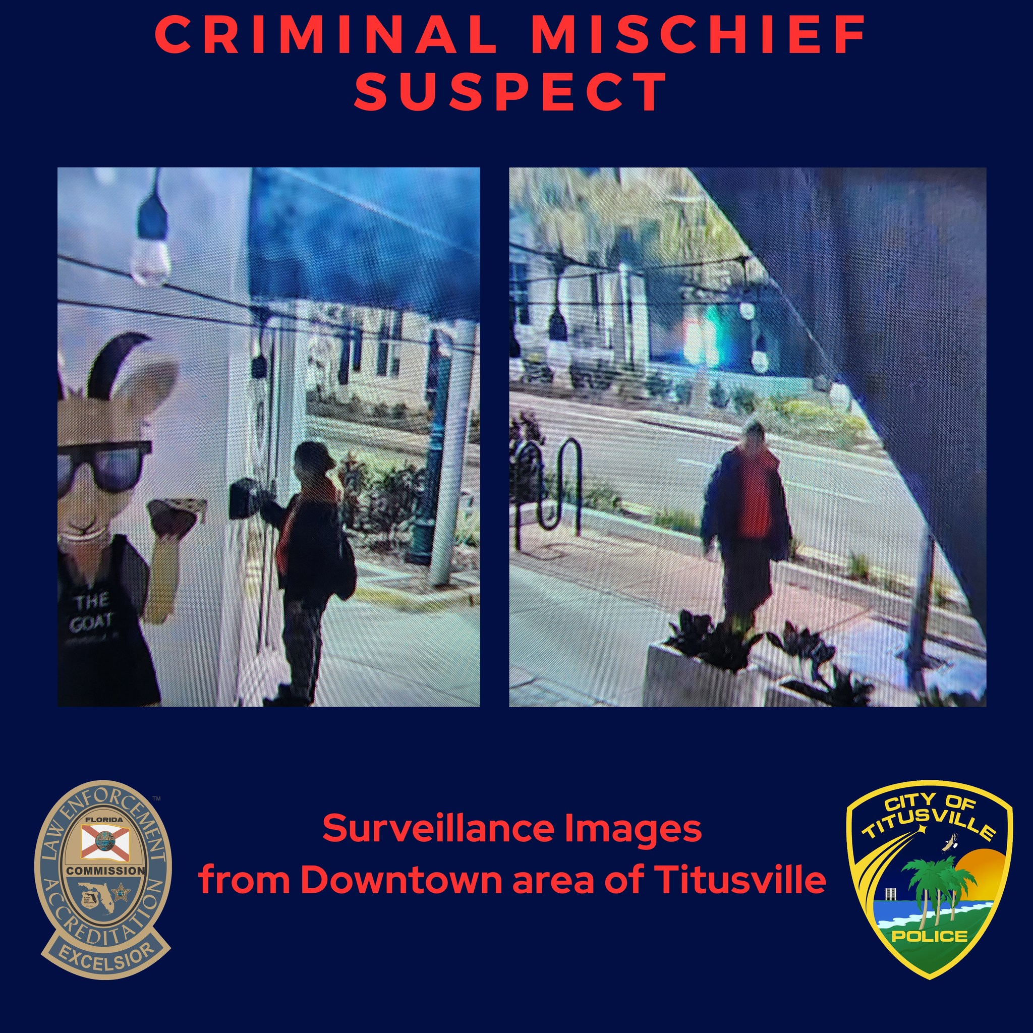 Suspect Charged with multiple counts of criminal mischief after ...