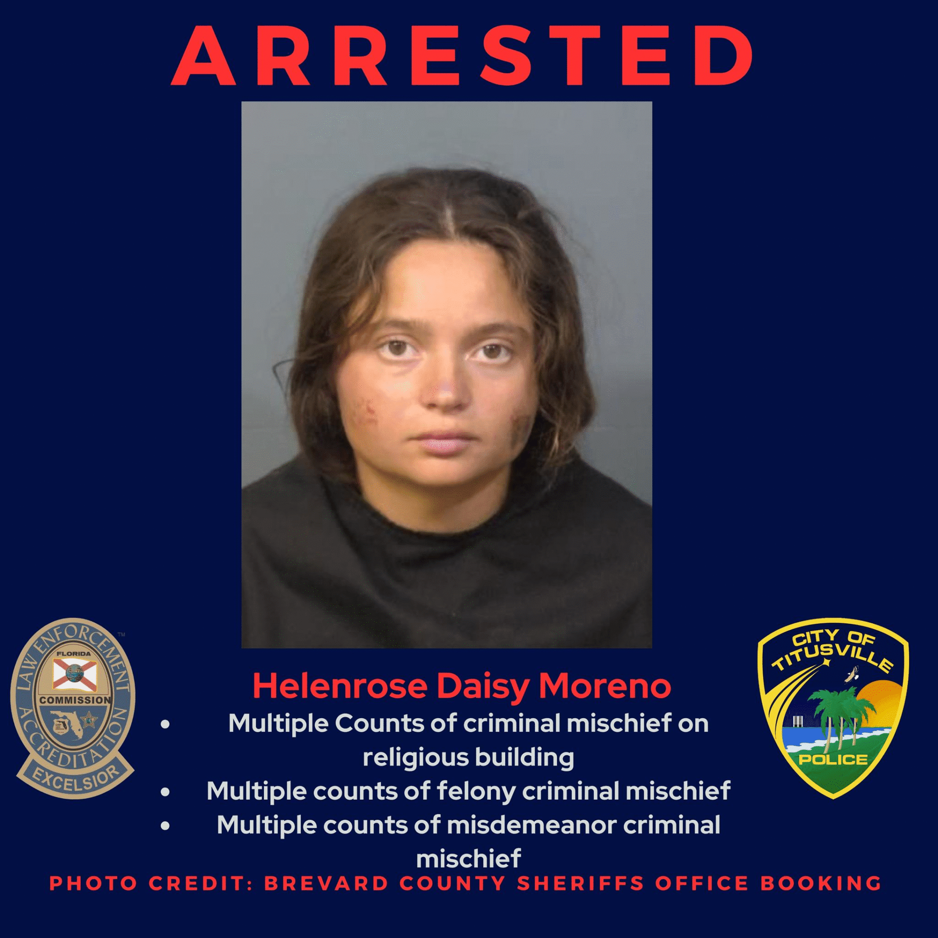 Suspect Charged with multiple counts of criminal mischief after ...