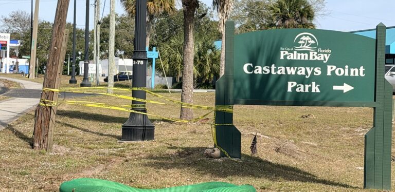 Two Teens and Young Adult Shot in Drive-By at Castaway Point Park in Palm Bay
