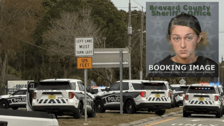 19-year-old arrested after alleged chase in stolen Honda ends with crash