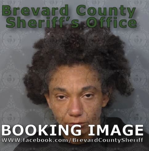 Mugshot of Virginia Rene Nicole Jordan