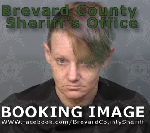 Mugshot of Deidra Rose Vincer