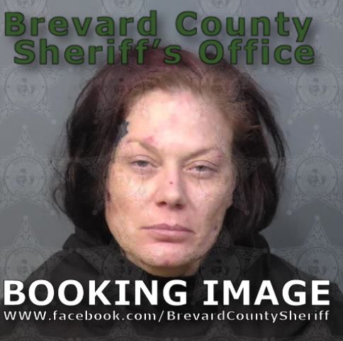Mugshot of Sonya Jean Sloan