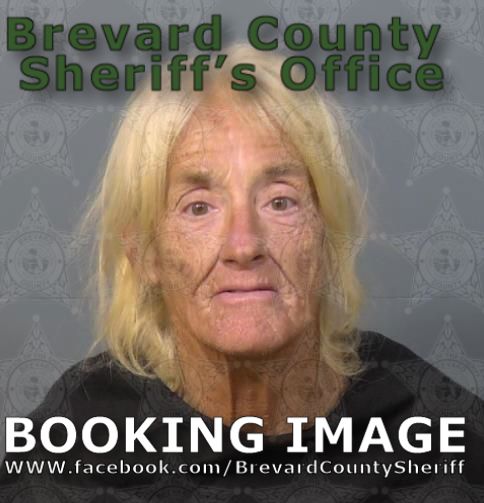Mugshot of Joann Irene Pettepher