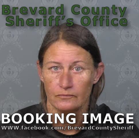 Mugshot of Jennifer Lynn Brant