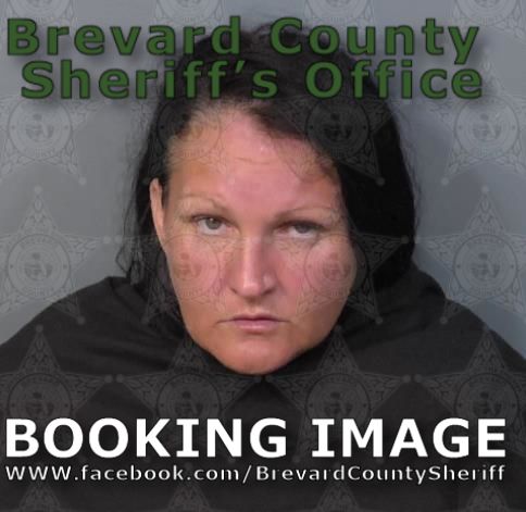 Mugshot of Elizabeth Ann Melvin