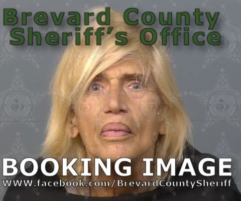 Mugshot of Sallyann Lombardi