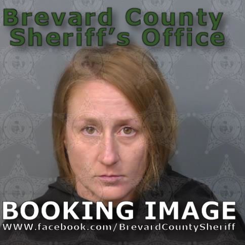 Mugshot of Robyn Delcia Boudreaux