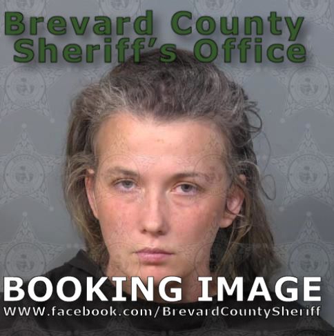 Mugshot of Michelle Alexa Lacorte