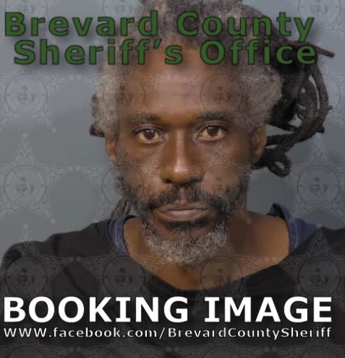 Mugshot of Addison George Woods