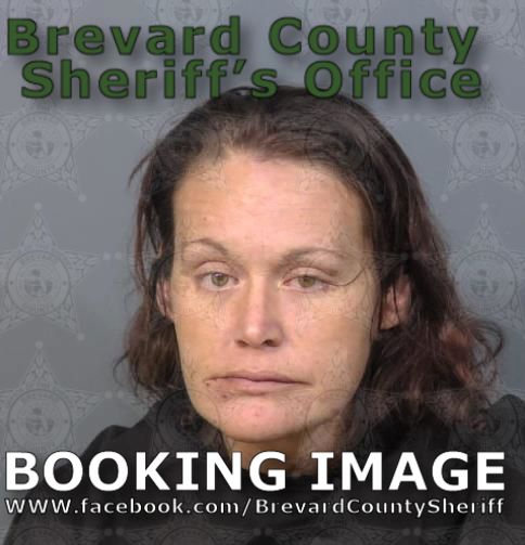 Mugshot of Brandi Ann Montagna