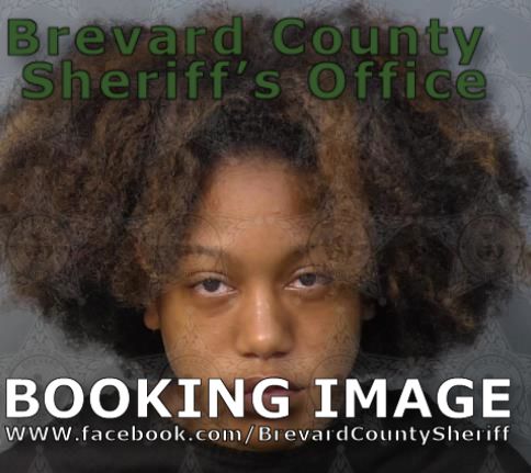Mugshot of Zaria N Pipkin