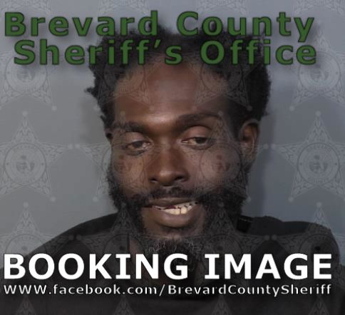 Mugshot of Audey Kerry Browne