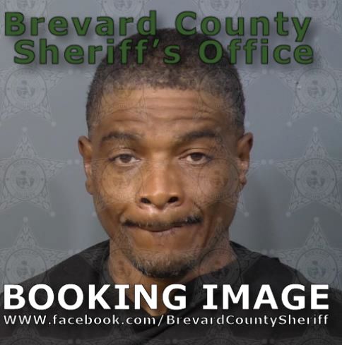 Mugshot of Terry Orlanda King