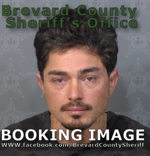 Mugshot of Seth Alvin Amy