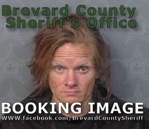 Mugshot of Christina Louise Leider
