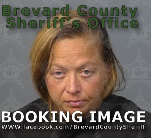 Mugshot of Diana Marie Lowery
