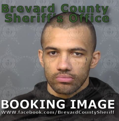 Mugshot of Albert Lee Levone Robinson