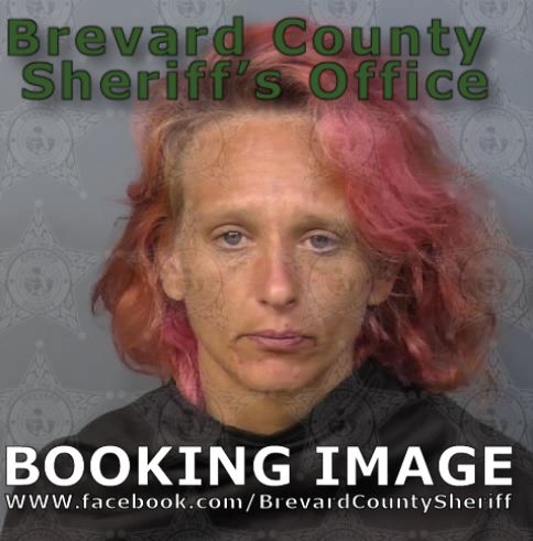 Mugshot of Barbara Jean White