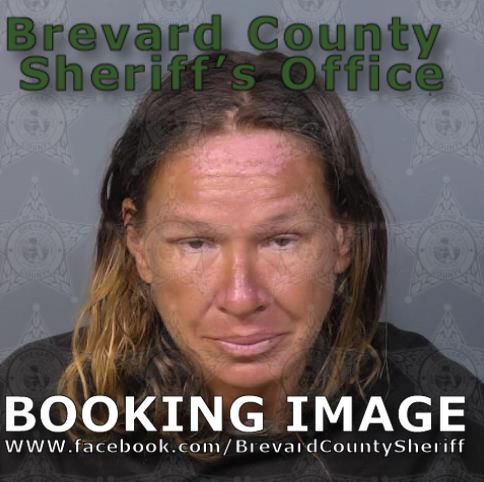 Mugshot of Michelle L Williams