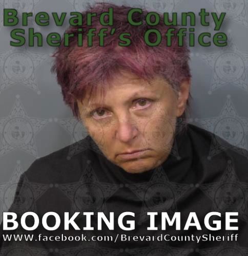 Mugshot of Ramona Lynn Demay