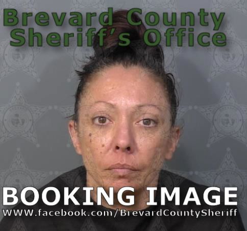Mugshot of Erin Marie Sanders