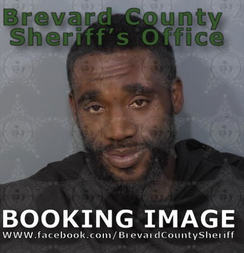 Mugshot of Dwayne Johnson