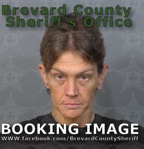 Mugshot of Holly Kristina Lamb