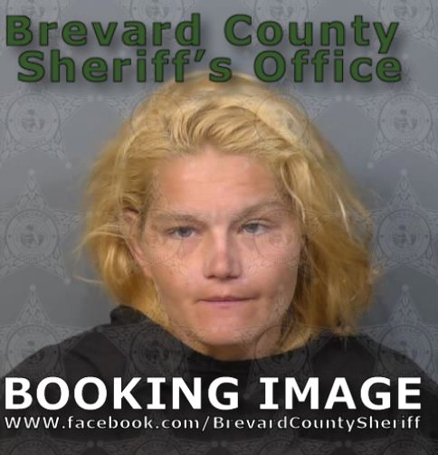 Mugshot of Erica Lane Baril