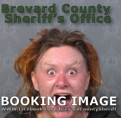 Mugshot of Hailey Marie Hammond