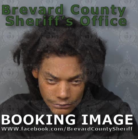 Mugshot of Hersey Vincent Robertson